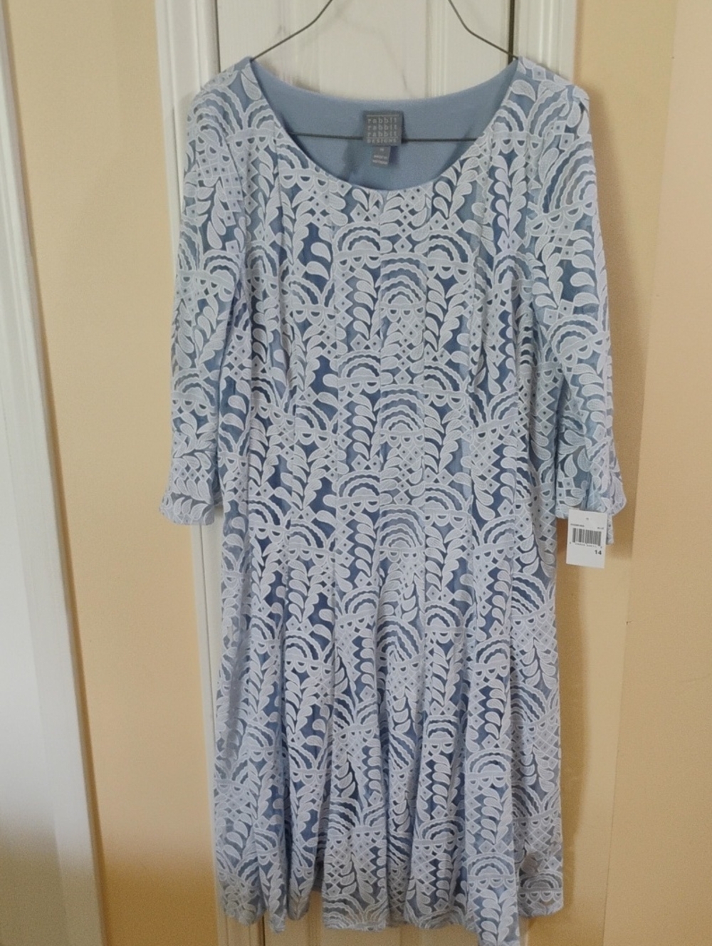 Light Blue Dress with White Lace Overlay